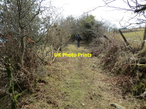 Photo 6"x4" Llwybr Llangiwg Path Craig Llangiwg c2013