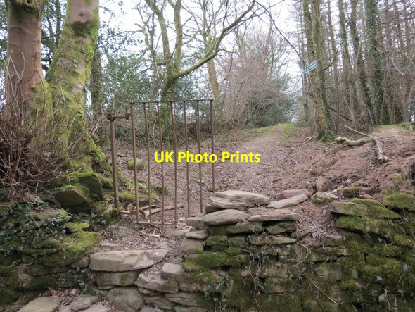 Photo 6"x4" Llwybr Rhydyfro - Llangiwg Footpath Rhyd-y-fro c2013