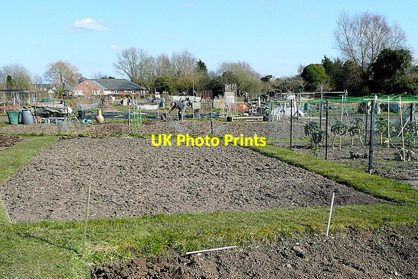Photo 6"x4" Chalgrove allotments Chalgrove c2013