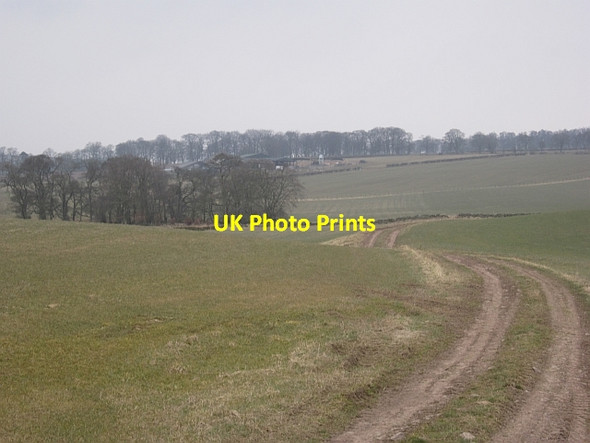 Photo 6"x4" Farm track Lanark c2013