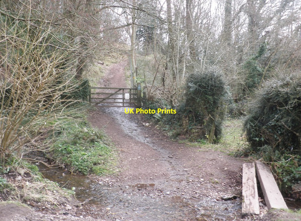 Photo 6"x4" Path to Bicknoller Weacombe c2013