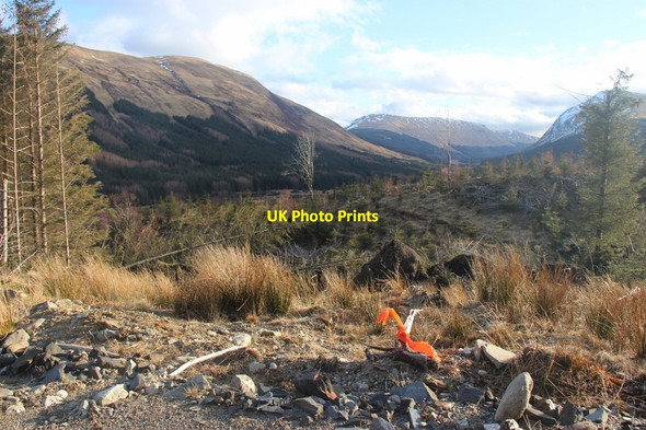 Photo 6"x4" Forested slopes of Glen Lochy Eas a' Ghaill c2013