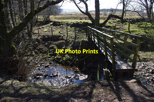 Photo 6"x4" Bridge over the Tarnbrook Wyre Tarnbrook c2013