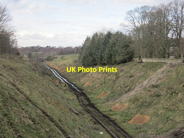 Photo 6"x4" Tynehead Cutting Tynehead c2013