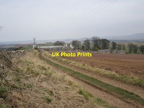 Photo 6"x4" Barney Mains Athelstaneford c2013
