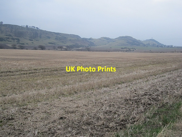 Photo 6"x4" Stubble, Kilduff Athelstaneford c2013