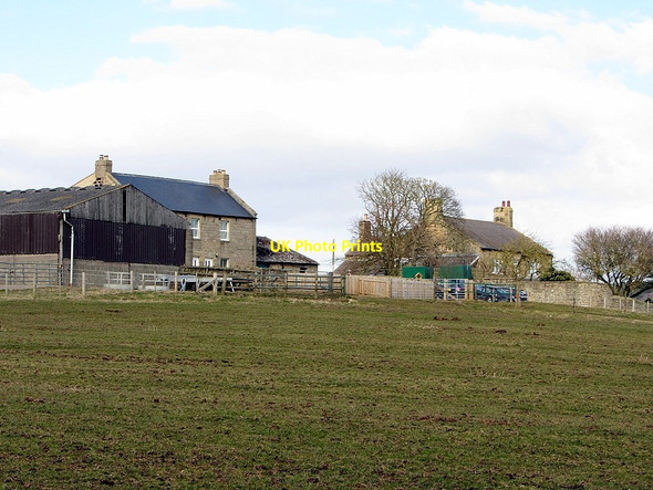 Photo 6"x4" Whittle Farm Horsley\/NZ0966 c2013