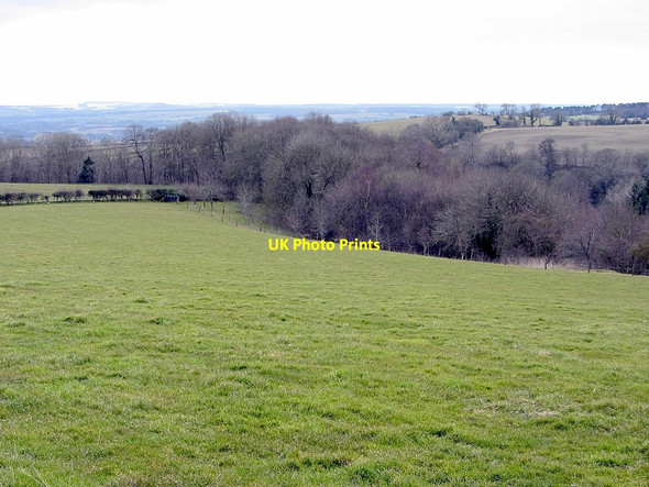 Photo 6"x4" Pasture on east side of Whittle Dene Horsley\/NZ0966 c2013