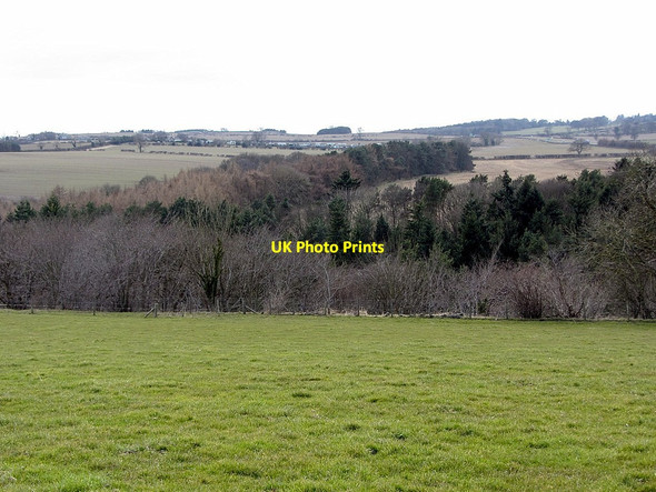 Photo 6"x4" Whittle Dene and Swarden Dene west of Whittle Farm Horsley\/NZ0966 c2013