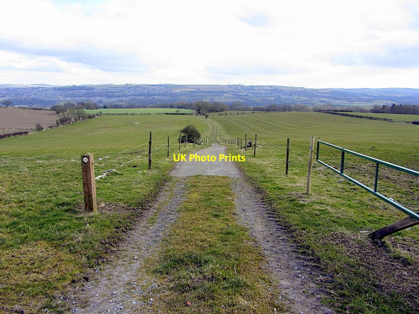 Photo 6"x4" Track south of Whittle Farm Horsley\/NZ0966 c2013