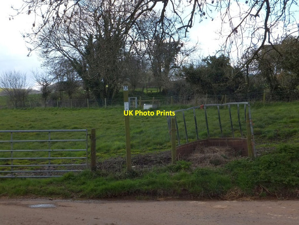Photo 6"x4" Footpath west of Curscombe Cross Lower Cheriton c2013