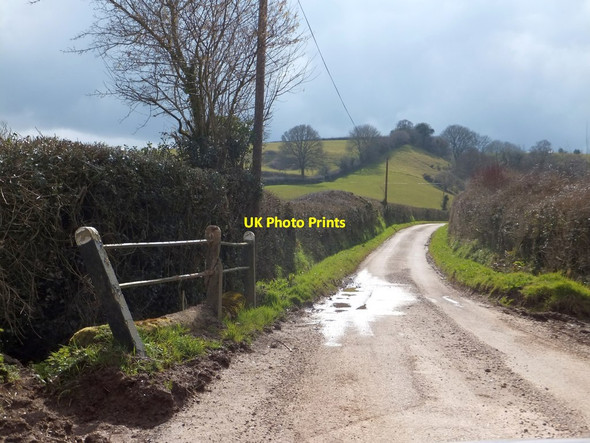 Photo 6"x4" Small bridge near Halls Farm Buckerell c2013