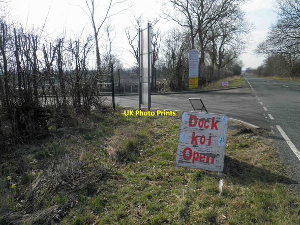 Photo 6"x4" Dock Koi is open North End\/TA3101 c2013