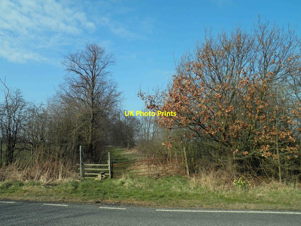Photo 6"x4" Footpath from the A1031 Humberston Road North End\/TA3101 c2013