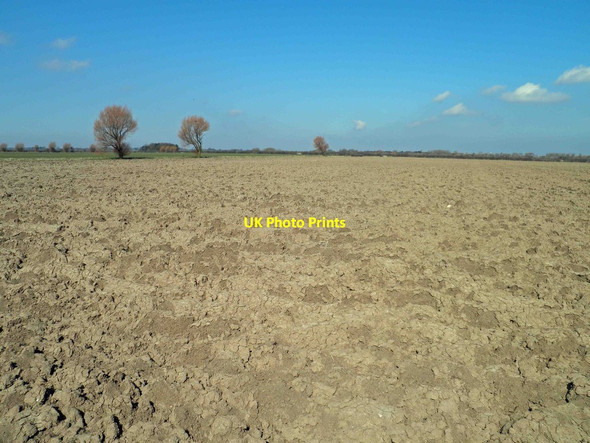 Photo 6"x4" Dry soil amazing this Spring Humberston Fitties c2013