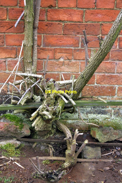 Photo 6"x4" Benchmark on barn at Green Hill Farm Twyford\/SP4736 c2013