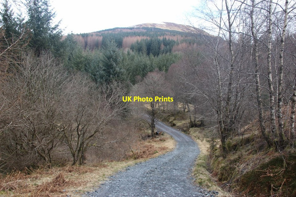Photo 6"x4" Private road to Strone Glenview c2013