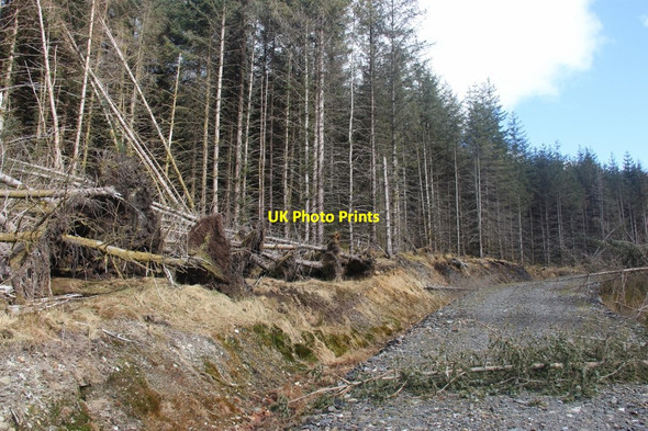 Photo 6"x4" New forest access road in Glen Lochy Creag Bhuidhe\/NN2228 c2013
