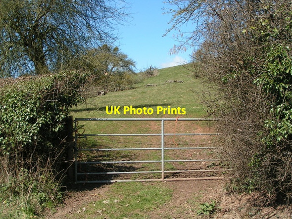 Photo 6"x4" Gate and field at Heathfield, looking north west Breinton Common c2013