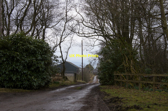 Photo 6"x4" Track to Mosside of Ballinshoe Padanaram c2013