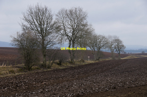Photo 6"x4" Trees along a burn, west of Padnaram Padanaram c2013