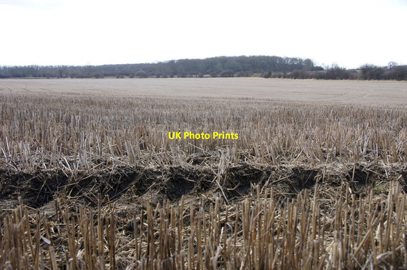 Photo 6"x4" Stubble field, Ashby de la Launde Ashby de la Launde c2013
