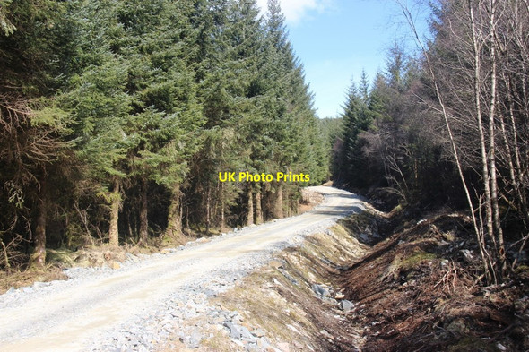 Photo 6"x4" Forestry road in Glen Aray Carn Odhar\/NN0813 c2013