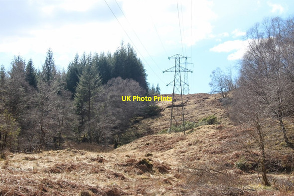 Photo 6"x4" Pylon line at Balantyre Inveraray c2013