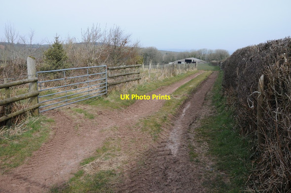 Photo 6"x4" Track to farm buildings Brook\/SN2609 c2013