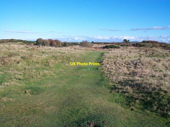Photo 6"x4" Green lane on the Murlough dunelands Dundrum\/J4036 c2010