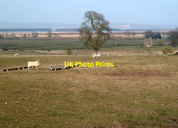Photo 6"x4" Farmland at Bankend Bankend\/NY0268 c2013