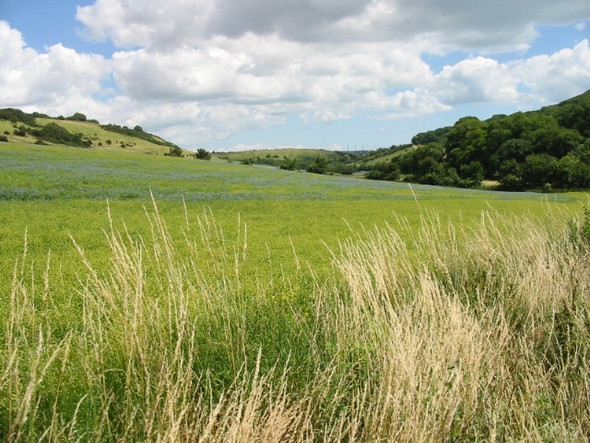 Photo 6"x4" View along the valley towards Dover Church Hougham c2008