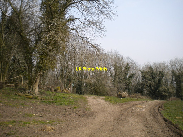 Photo 6"x4" Junction of footpaths near Ember Farm Matlock c2013