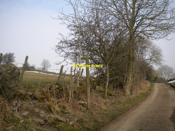 Photo 6"x4" Track and footpath near Ember Farm Matlock c2013