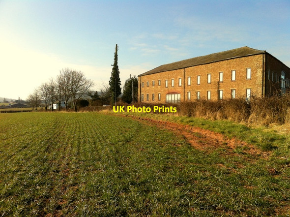 Photo 6"x4" Winter barley at Eccleswall Bromsash c2013