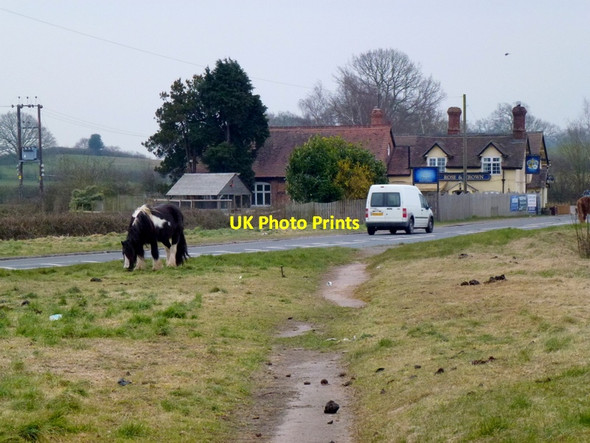 Photo 6"x4" Horse grazing the verge at Playley Green Playley Green c2013