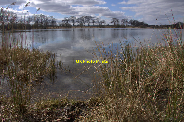 Photo 6"x4" Monk Myre, Rosemount Coupar Angus c2013
