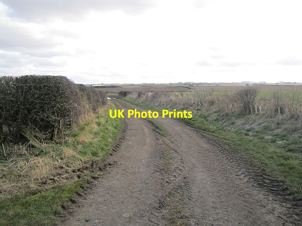 Photo 6"x4" Farm road, Berrington Berrington\/NU0043 c2013