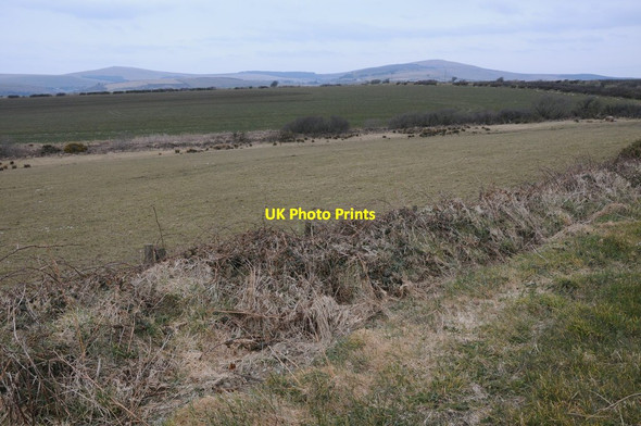 Photo 6"x4" Upland grazing New Moat c2013