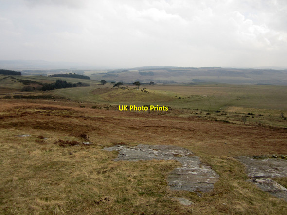 Photo 6"x4" Grassland on Doddington Moor Doddington\/NT9932 c2013