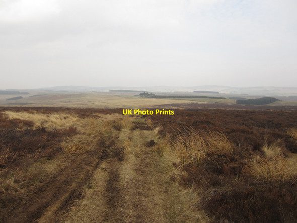 Photo 6"x4" Footpath on Dod Law Doddington\/NT9932 c2013