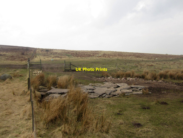 Photo 6"x4" Gateway on Doddington Moor Doddington\/NT9932 c2013