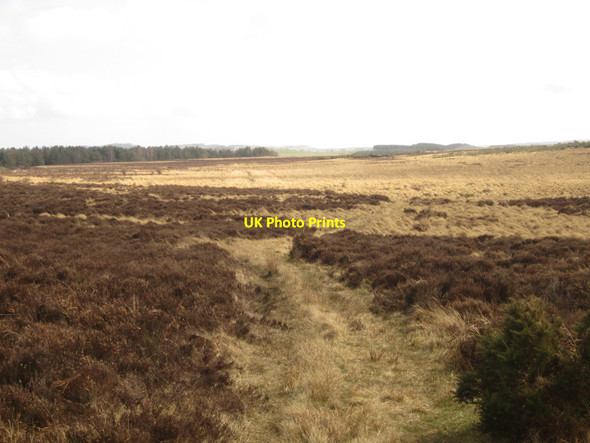 Photo 6"x4" Bridleway near Kemping Moss Lowick\/NU0139 c2013