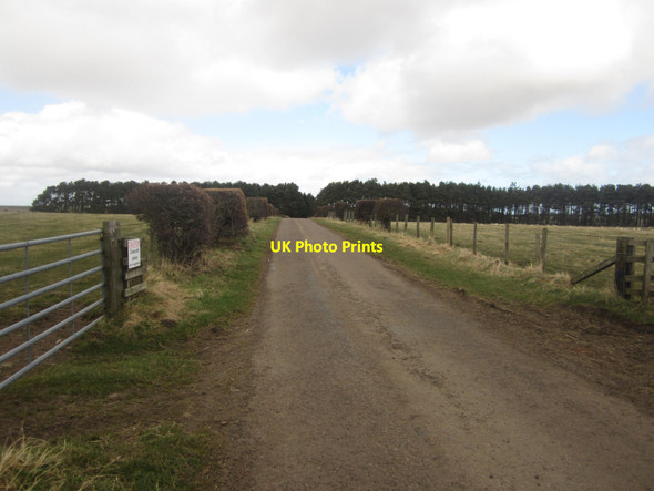 Photo 6"x4" Minor Road near Barmoor Ford Hill\/NT9537 c2013
