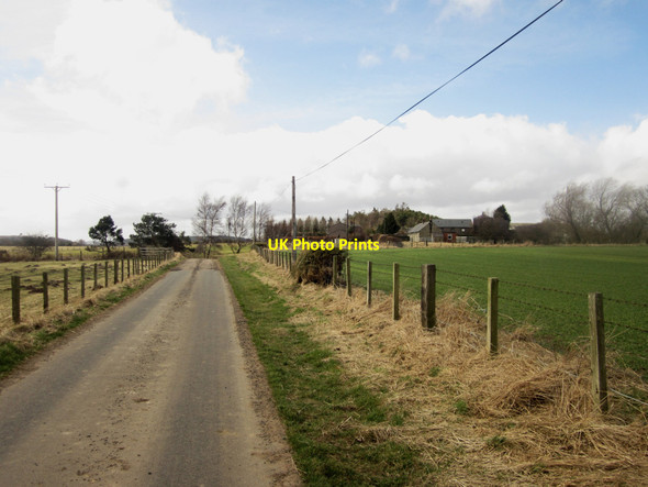 Photo 6"x4" The road to Barmoor South Moor Bowsden c2013