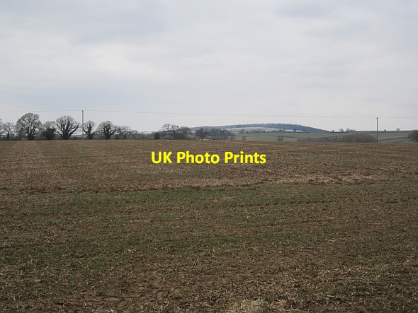 Photo 6"x4" Field, Culmington Burley\/SO4781 c2013