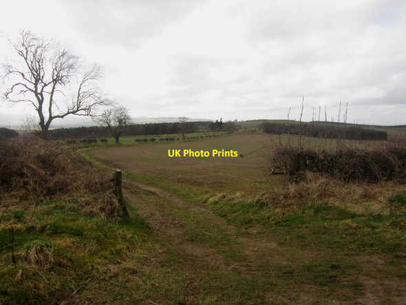 Photo 6"x4" Farm track to Fenton Hill Fenton\/NT9733 c2013
