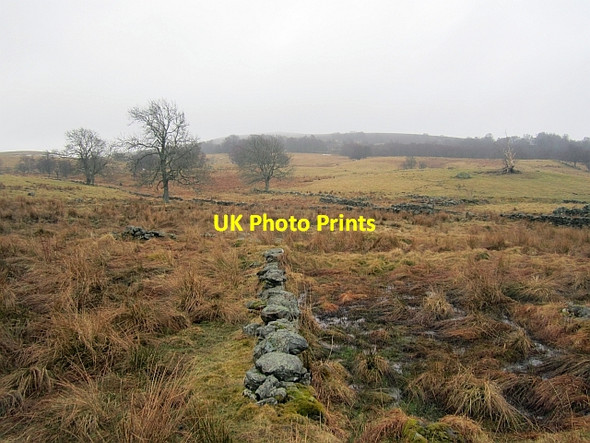 Photo 6"x4" Wetland, Middle Tomgarrow Inver\/NO0142 c2013