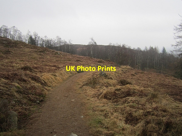 Photo 6"x4" Path up Birnam Hill Birnam c2013