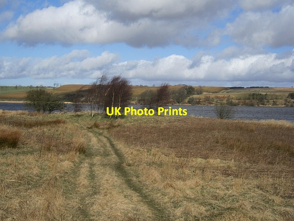 Photo 6"x4" Loch Fitty Kingseat\/NT1290 c2013 P1